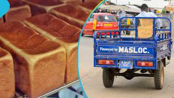 63-Year-Old Man Jailed 5 Years For Stealing Tricycle With 114 Loaves Of Bread
