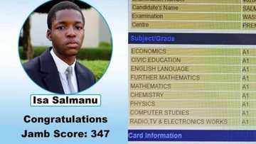 "He scored A1 in 9 subjects": Intelligent Nigerian boy smashes WAEC with 9As, scores 347 in JAMB-UTME