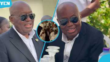 Social media explodes over video of Akufo-Addo's unexpected public kissing moment