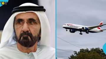 UAE lists 8 groups of foreigners eligible for Golden Visa under special talent category