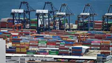 China export growth slows sharply in August: official data
