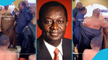 Addo-Kufuor makes rare public appearance as he visits Otumfuo at Manhyia Palace, video stirs reactions