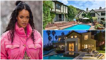 Rihanna: 10 luxury mansions which once belonged to the pop singer