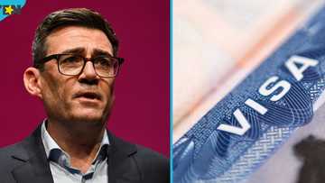 UK lists 15 visa routes that require English language test from applicants