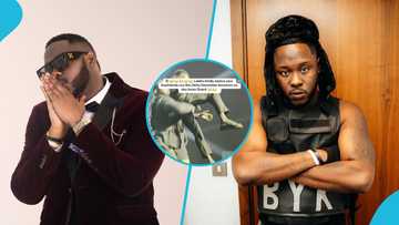 Security men throw fan who grabbed Medikal's leg into crowd, video awes many