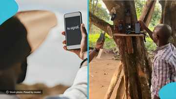 Wurabeng Osu: GH village with no mobile signal trends, visitors drive to the only spot that supports calls