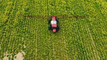 Firms withheld pesticide toxicity data from EU: study
