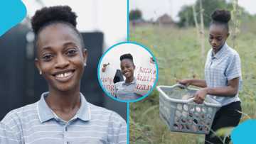Young Nigerian lady develops digital platform to link farmers to consumers and reduce post-harvest losses
