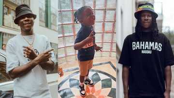 I want to be a dinosaur - Stonebwoy's son Janam says in serious chat with mum