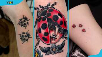 30 best ladybug tattoo ideas: Unique designs and their unique meanings