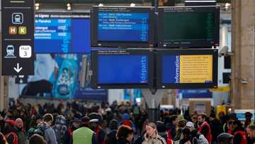 Tears, ruined plans as WWII bomb halts Paris-London trains