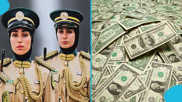 UAE Army salary by rank for 2026 released, highlights differences in pay