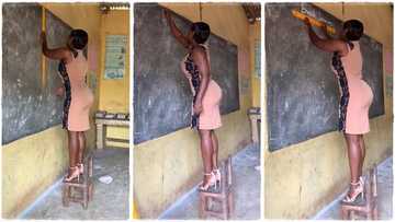 Elegant female teacher with good shape stands on chair to write on black board, video goes viral on TikTok