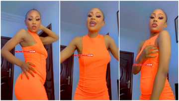 Akuapem Poloo turns heads as she shakes her bosoms and bum violently in a video