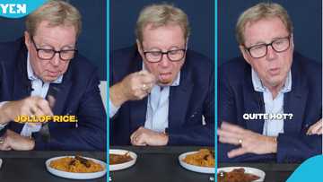 Harry Redknapp tries Ghanaian jollof before Black Stars vs England, fans love his reaction