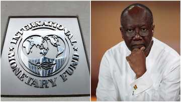 IMF Bailout: Gov't, Fund to attain Staff-Level Agreement Programme by end of year for economic growth