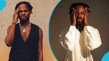 Fameye stops his performance to pick up money fan sprayed on him, warns bystanders in video