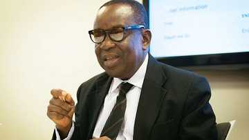 Kan Dapaah leak: The lady is the dumbest woman - twitter user says