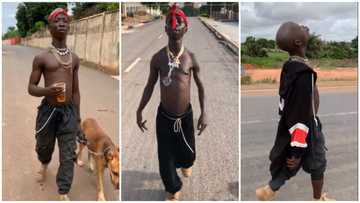 Celebrity Lookalike: Late Ahuofe 2pac's lookalike surfaces, imitates him in viral TikTok video