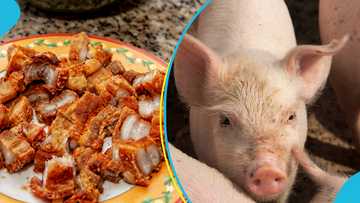 Farm gate prices of pork to go up by 20% from December 1, 2023