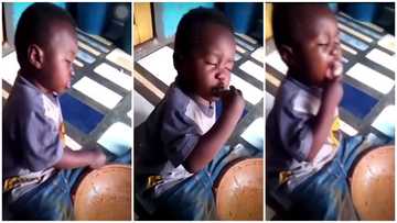 That food must have hit the spot: Funny video of cute little boy eating from big 'asanka' and sleeping at the same time stirs laughter