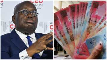 Sika mpɛ dede: Akufo-Addo cautions Ghanaians against speculations on cedi-dollar depreciation