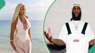 "He's a dope artiste": Stefflon Don gushes, shares how she met Burna Boy after missing her flight