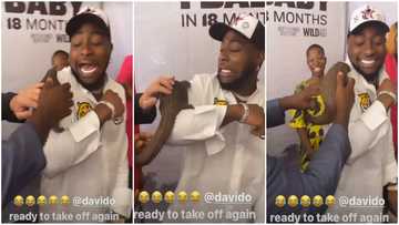 Davido screams in fear, nearly ‘picks race’ after animal is placed on his shoulder for photo