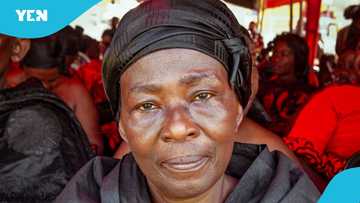 Akosua Serwaa sends lovely Christmas message to all Ghanaians: "Her beauty is coming back"