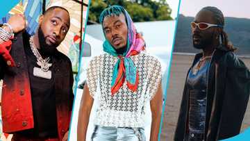 Davido, Camidoh, Adekunle Gold and others thrill fans at Afrofuture day 2, videos