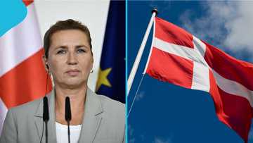 Denmark publishes 4 benefits foreigners with business residence permits cannot receive