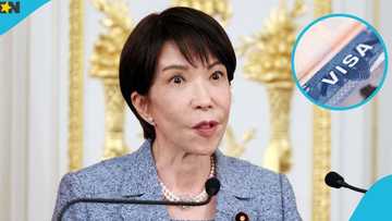 Japan lists 16 jobs foreigners can apply for under Specified Skilled Worker visa programme