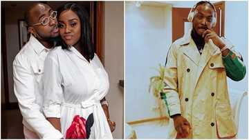 Entertainment guru accuses Davido’s bae Chioma of sleeping with the singer's close friend