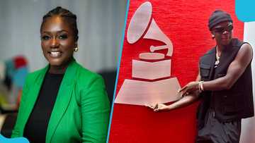 Dentaa Amoateng Speaks On The Recording Academy's Plans: "Ghana Not Part Of Founding Members"