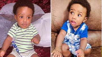 “Soo Cute”: Social Media Thrilled by Video of an Adorable Baby That’s Seriously Going Viral