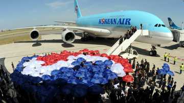 Korean Air buys majority stake in rival Asiana Airlines