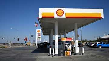 Shell net profit sinks 35% in first-quarter as oil prices fall