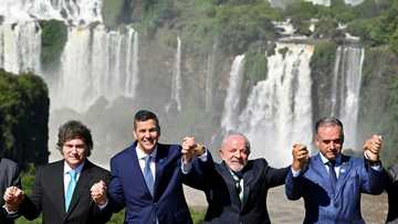 Brazil's Lula asks EU to show 'courage' and sign Mercosur trade deal