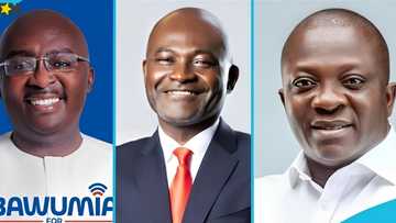 Top 5 controversial moments in NPP flagbearer race
