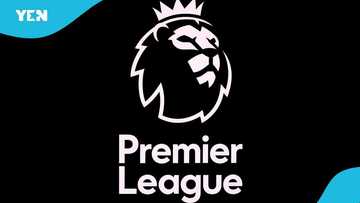 Ex-EPL club owner hospitalised after confronting masked robbers