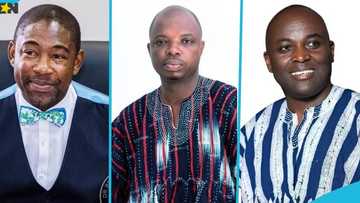 Full list of newly elected NPP regional chairmen for election 2028