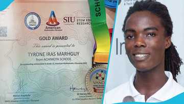 Rastafarian Tyrone Marhguy excels again, wins 2 American Math Olympiad awards