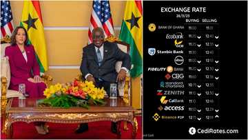 Now $1 equals GH¢11: Cedi stabilises against US dollar amid Kamala Harris’ trip to GH