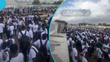 "Unexpected surge": Ghana army explains cause of tragic stampede, blames applicants for breaching protocols