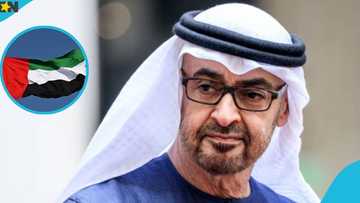 UAE Lists 3 Work Permit Types Valid for Less Than 2 Years and Explains Conditions