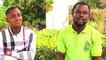 26-year-old Legon graduate with own 50-acre farm narrates how he made it