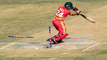 Raza out for golden duck as Zimbabwe lose ODI to Bangladesh