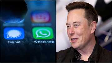 Uncertainties for WhatsApp as world's richest man Elon Musk endorses rival app