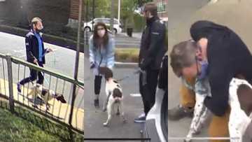 Man Accused of Stealing Dog Bumps Into TV Crew Reporting on Its Disappearance, Gets Arrested
