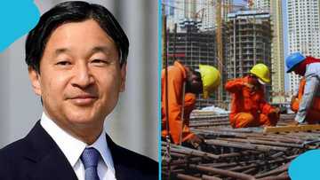 Japan announces job opportunities for skilled foreigners in 16 occupations
